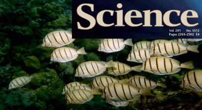 Floundering? Hardly. U.S. Fisheries Continue to Improve